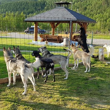 Visit Junkerdal Villa Dış mekan fotoğraf