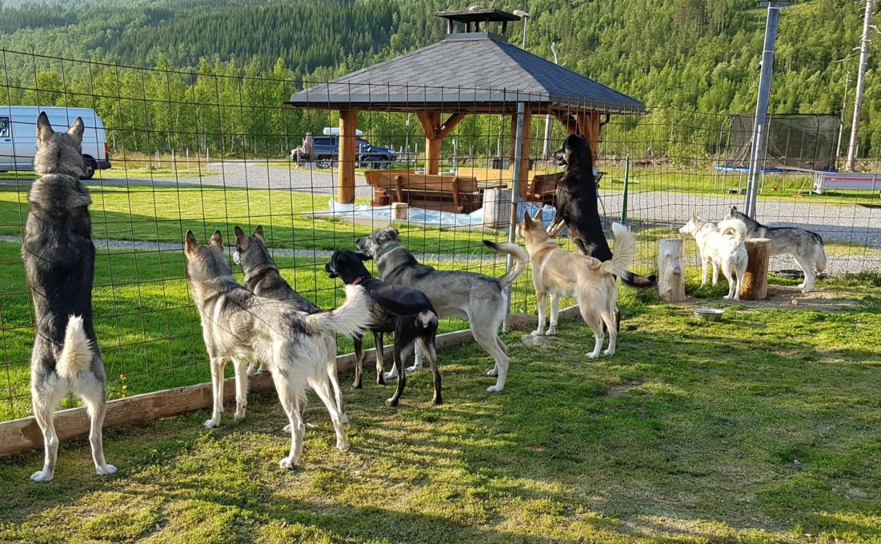 Visit Junkerdal Villa Dış mekan fotoğraf